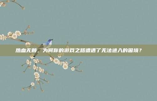 热血无赖,为何你的游戏之路遭遇了无法进入的困境?