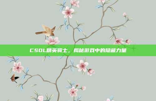 CSOL精英骑士,揭秘游戏中的隐藏力量