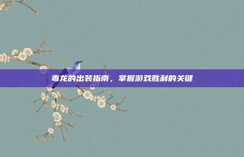 毒龙的出装指南，掌握游戏胜利的关键