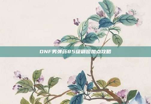 DNF男弹药85级刷图加点攻略