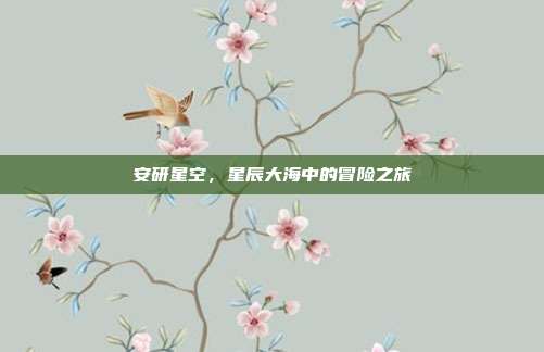 安研星空,星辰大海中的冒险之旅