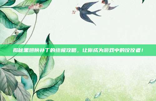 揭秘黑翅膀补丁的终极攻略,让你成为游戏中的佼佼者!