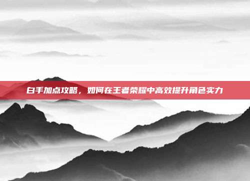 白手加点攻略,如何在王者荣耀中高效提升角色实力