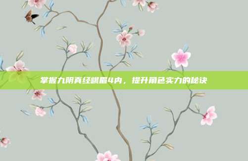 掌握九阴真经峨眉4内，提升角色实力的秘诀