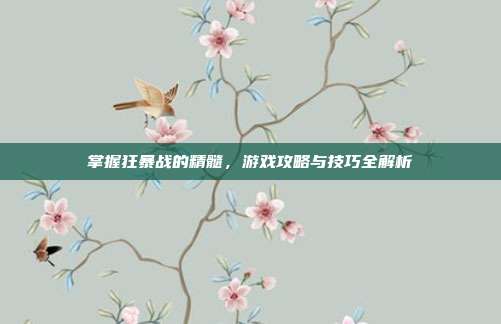 掌握狂暴战的精髓,游戏攻略与技巧全解析