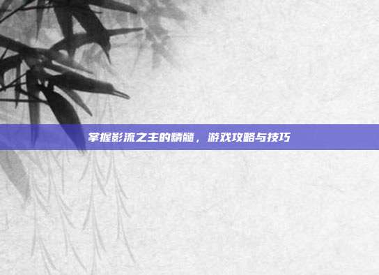 掌握影流之主的精髓,游戏攻略与技巧