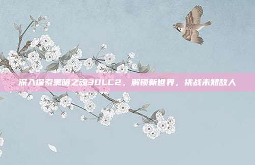 深入探索黑暗之魂3DLC2，解锁新世界，挑战未知敌人