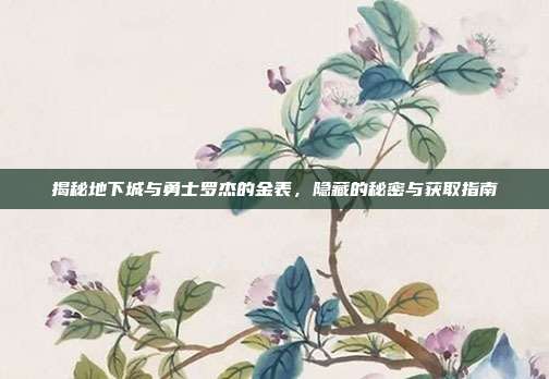 揭秘地下城与勇士罗杰的金表,隐藏的秘密与获取指南
