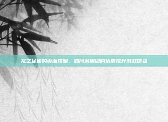 龙之谷团购页面攻略,如何利用团购优惠提升游戏体验