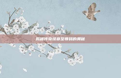 揭秘传奇续章至尊码的奥秘