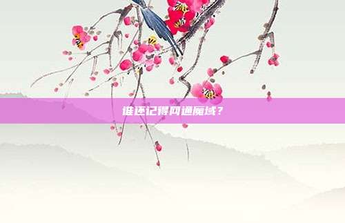 谁还记得网通魔域？