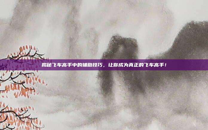 揭秘飞车高手中的辅助技巧,让你成为真正的飞车高手!