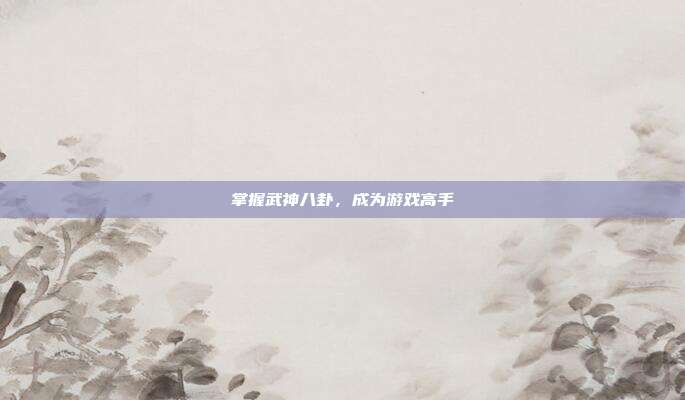 掌握武神八卦,成为游戏高手