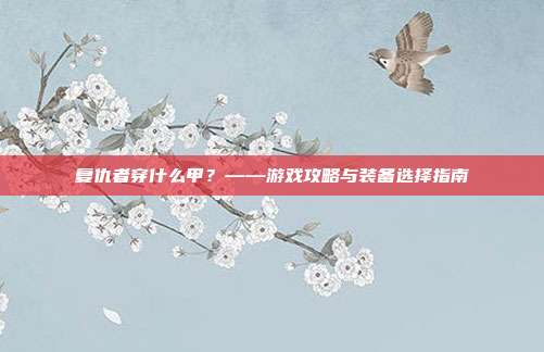 复仇者穿什么甲?——游戏攻略与装备选择指南