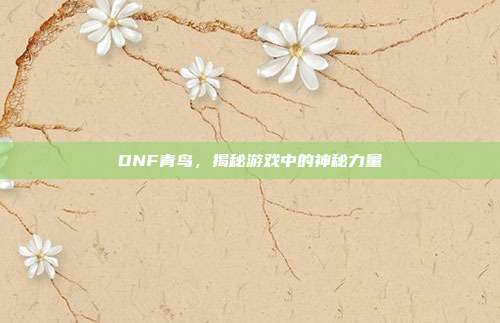 DNF青鸟,揭秘游戏中的神秘力量