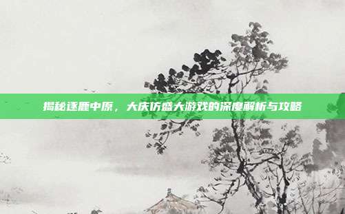 揭秘逐鹿中原,大庆仿盛大游戏的深度解析与攻略