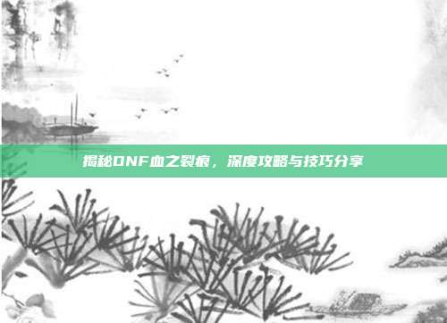 揭秘DNF血之裂痕,深度攻略与技巧分享