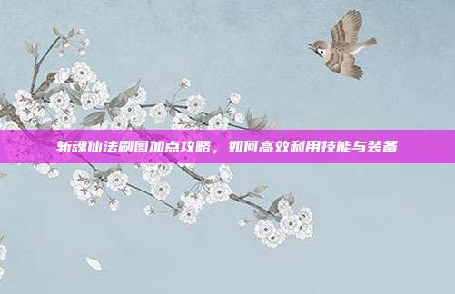 斩魂仙法刷图加点攻略，如何高效利用技能与装备