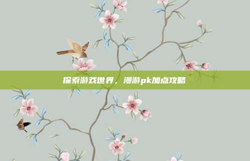 探索游戏世界,漫游pk加点攻略