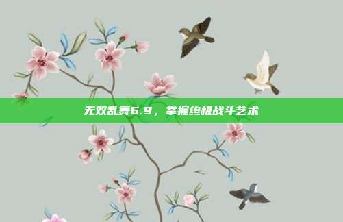无双乱舞6.9，掌握终极战斗艺术