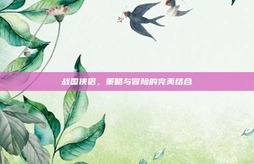 战国侠侣,策略与冒险的完美结合