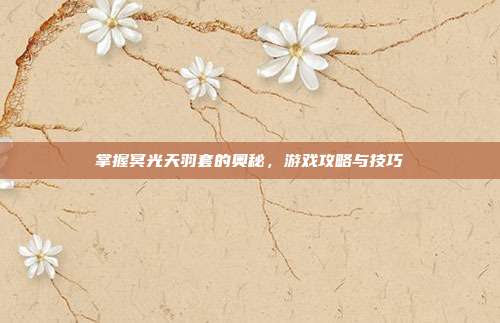 掌握冥光天羽套的奥秘,游戏攻略与技巧