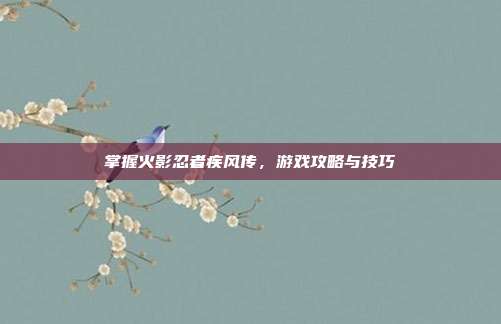 掌握火影忍者疾风传,游戏攻略与技巧
