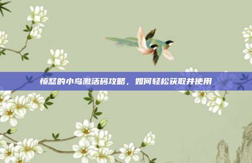 愤怒的小鸟激活码攻略,如何轻松获取并使用