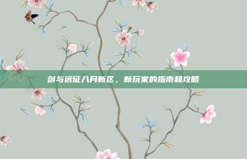 剑与远征八月新区,新玩家的指南和攻略