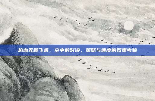 热血无赖飞机,空中的对决,策略与速度的双重考验