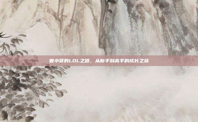 曾小贤的LOL之路,从新手到高手的成长之旅
