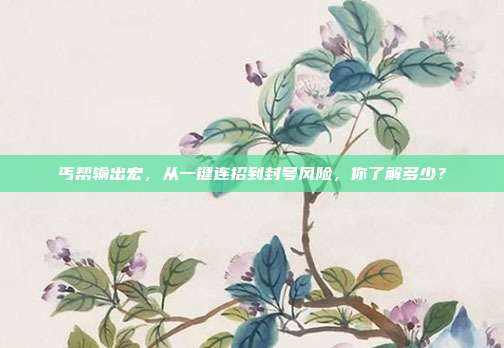 丐帮输出宏，从一键连招到封号风险，你了解多少？
