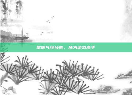 掌握气纯经脉,成为游戏高手