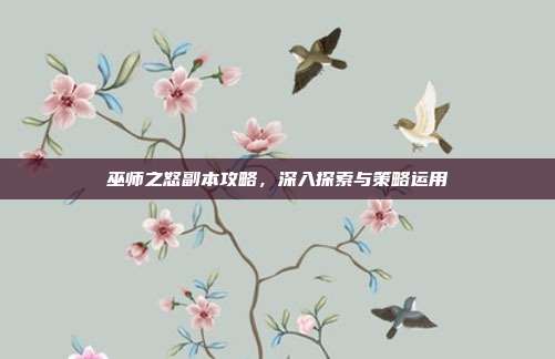 巫师之怒副本攻略,深入探索与策略运用