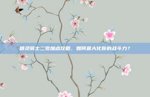 精灵骑士二觉加点攻略,如何最大化你的战斗力?