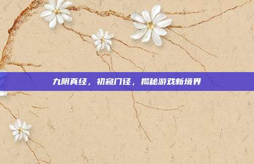 九阴真经,初窥门径,揭秘游戏新境界