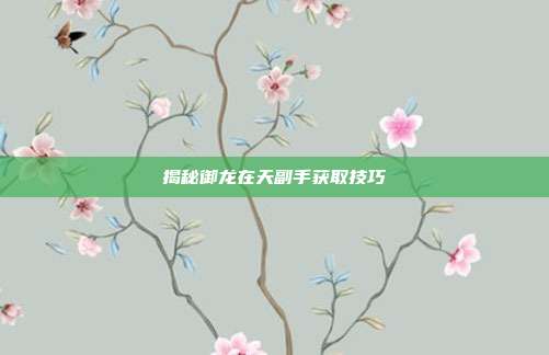 揭秘御龙在天副手获取技巧