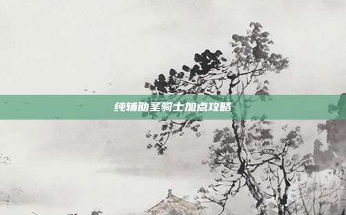 纯辅助圣骑士加点攻略