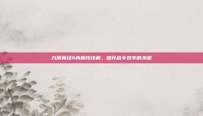 九阴真经4内属性详解,提升战斗效率的关键