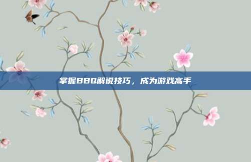 掌握BBQ解说技巧,成为游戏高手