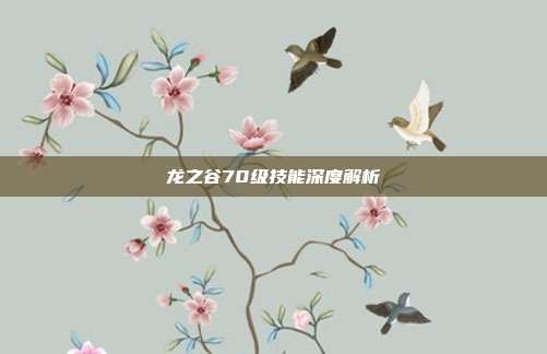 龙之谷70级技能深度解析