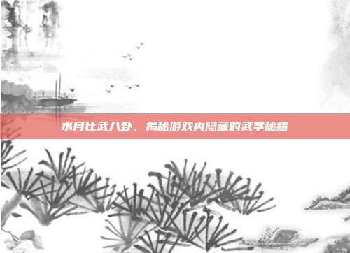 水月比武八卦,揭秘游戏内隐藏的武学秘籍