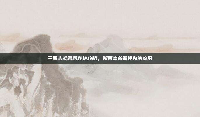 三国志战略版种地攻略,如何高效管理你的农田