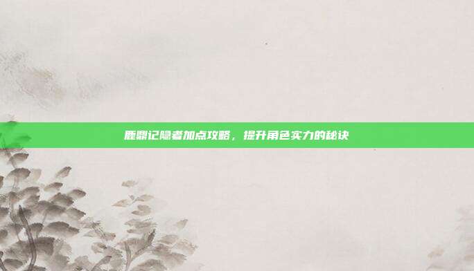鹿鼎记隐者加点攻略,提升角色实力的秘诀