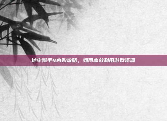 地牢猎手4内购攻略，如何高效利用游戏资源