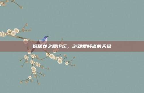 揭秘龙之藏论坛,游戏爱好者的天堂