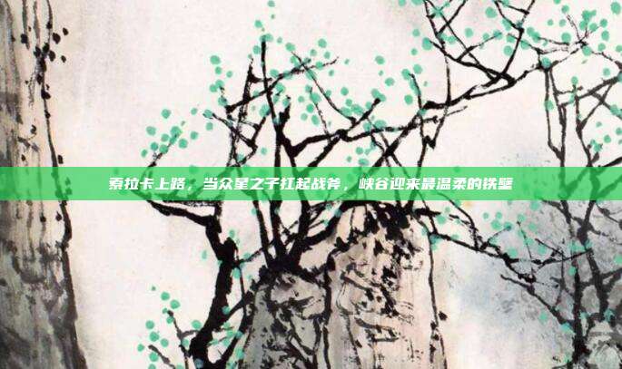 索拉卡上路，当众星之子扛起战斧，峡谷迎来最温柔的铁壁