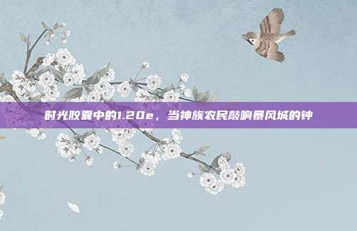时光胶囊中的1.20e，当神族农民敲响暴风城的钟