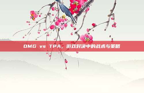 OMG vs TPA,游戏对决中的战术与策略