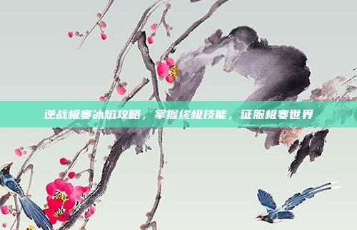 逆战极寒冰焰攻略,掌握终极技能,征服极寒世界
